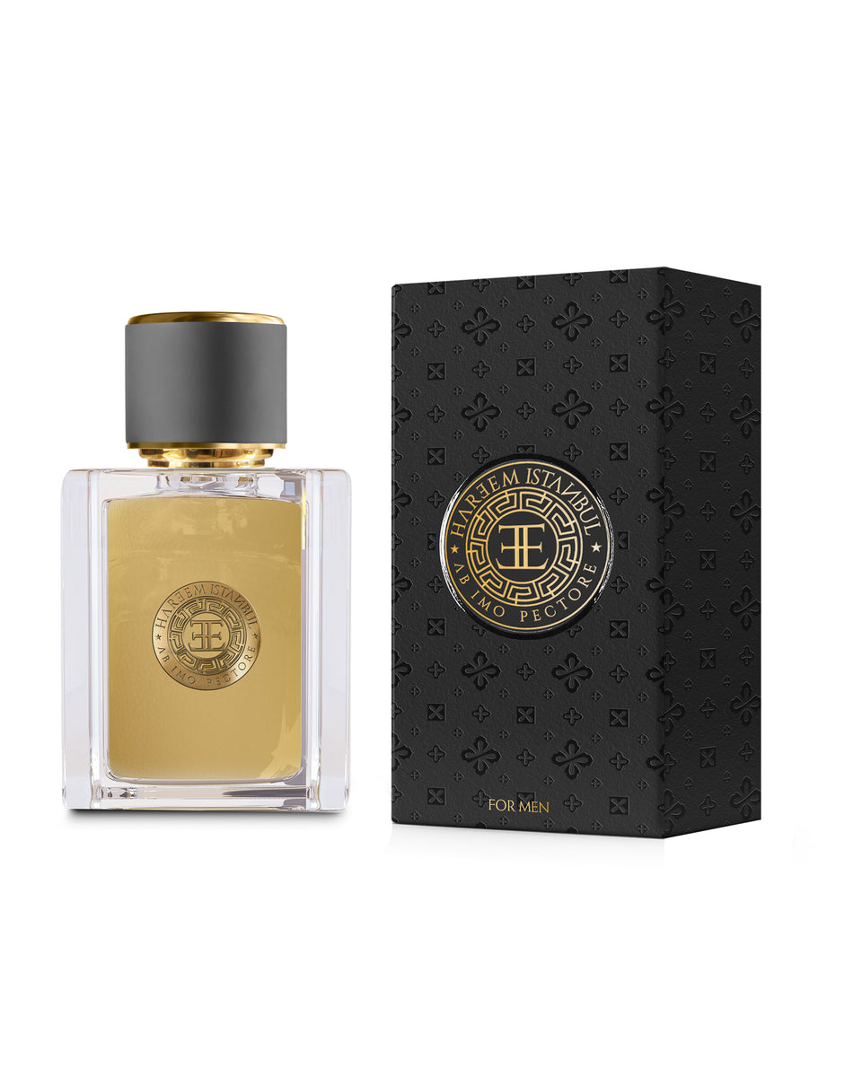 Pege Edp 100 ml Men's Perfume (M18) – Hareem İstanbul